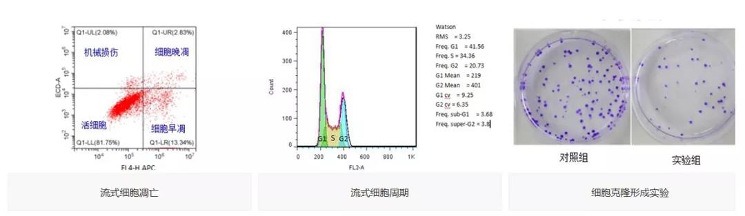 微信图片_20191202120428.jpg