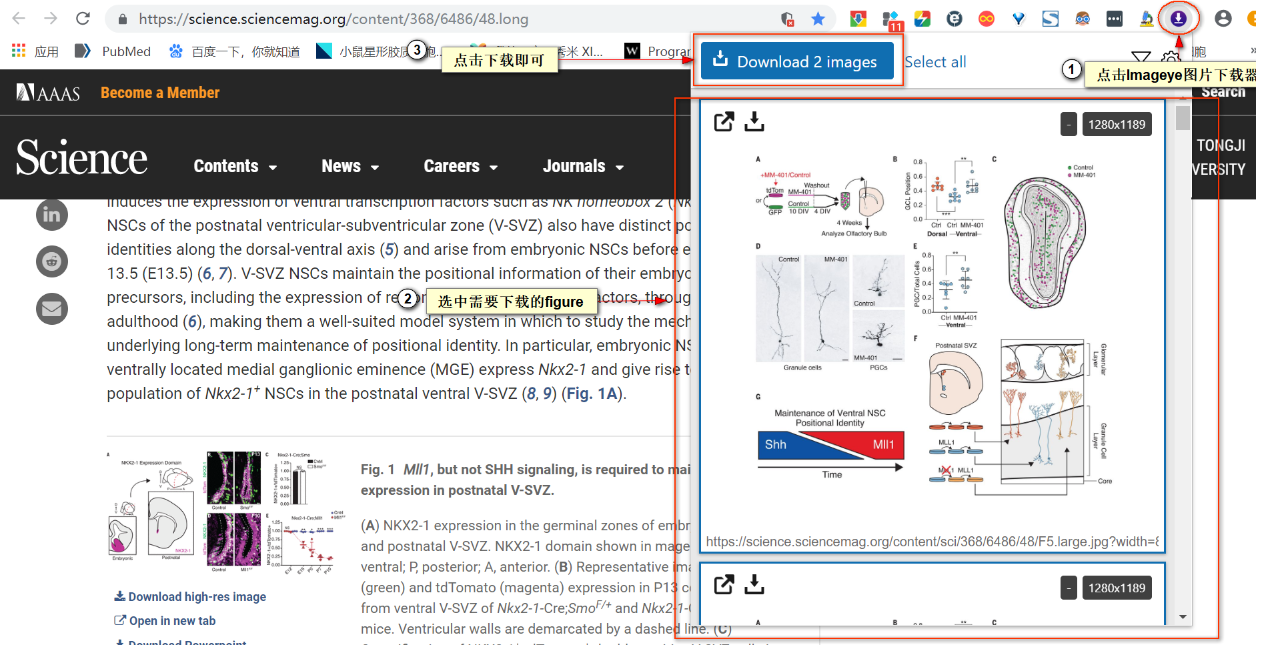 微信图片_20200508095512.png